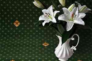 Ковролин Haima Axminster (7x9) Точка Зеленая фото  | FLOORDEALER